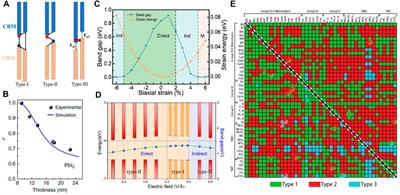 Two-Dimensional Semiconductor Heterojunctions for Optoelectronics and Electronics